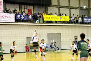 IMG_5912.jpg (175939 oCg)